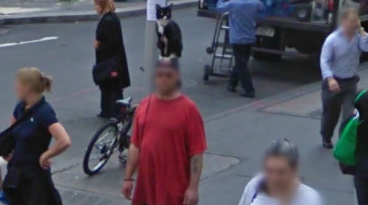 18 Confusing But Funny Images Captured By Google Street View